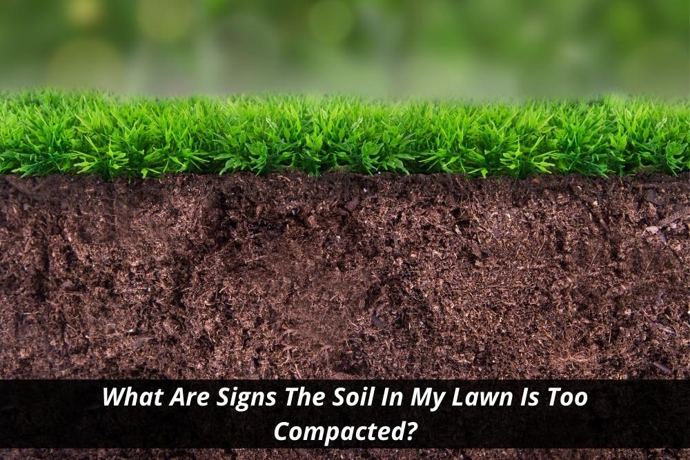 Image presents What Are Signs The Soil In My Lawn Is Too Compacted and Turf Laying Services