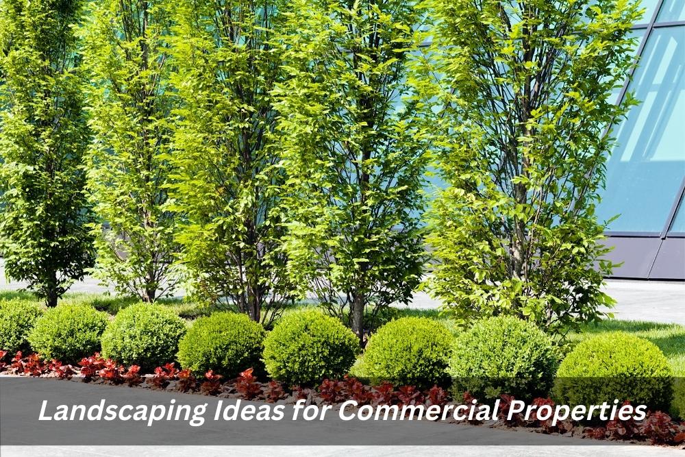 Top Landscape Designs for Sydney Commercial Spaces