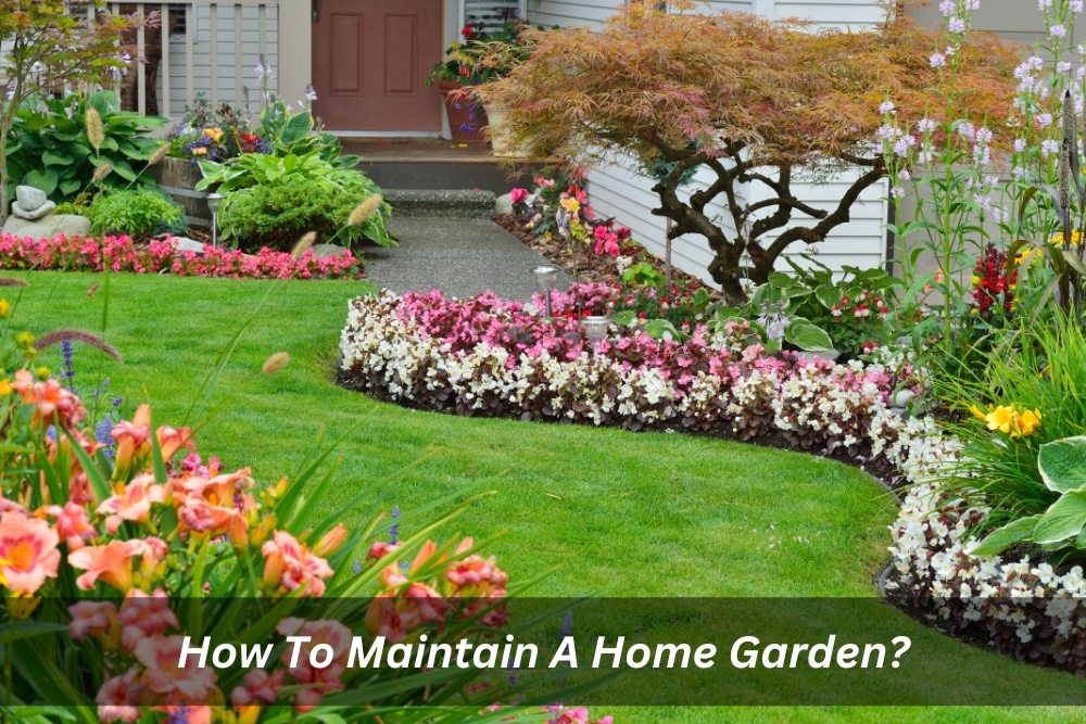 Image presents How To Maintain A Home Garden