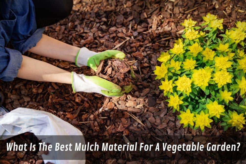 Image presents What Is The Best Mulch Material For A Vegetable Garden