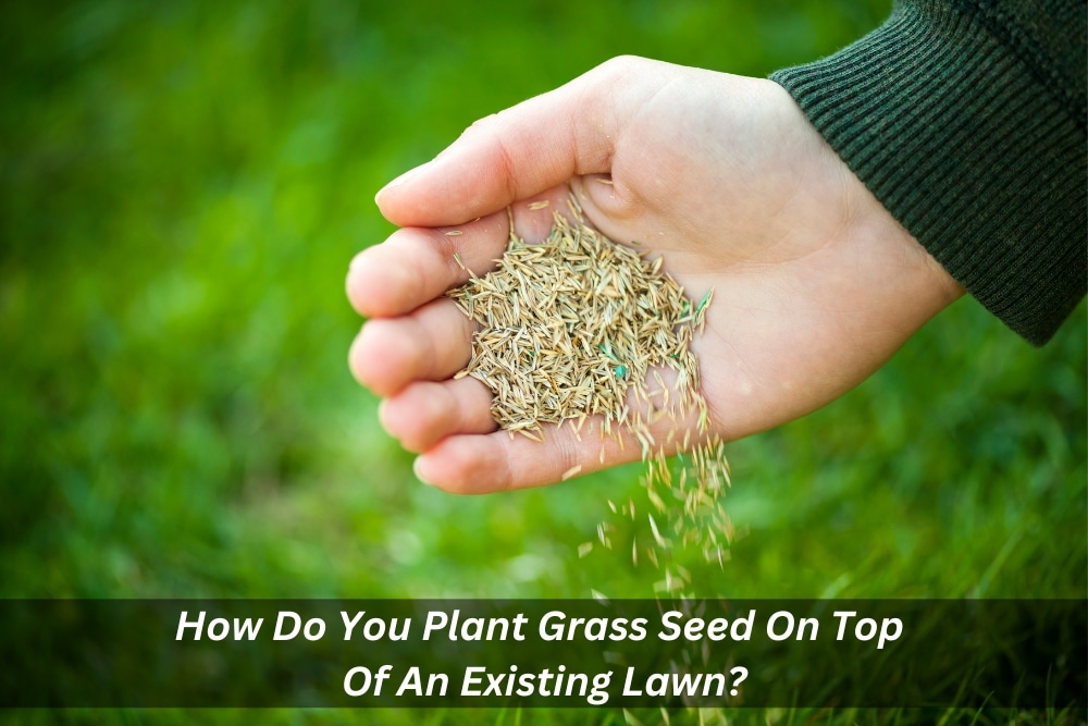 Image presents How Do You Plant Grass Seed On Top Of An Existing Lawn