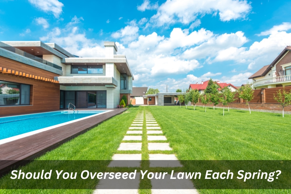 Image presents Should You Overseed Your Lawn Each Spring