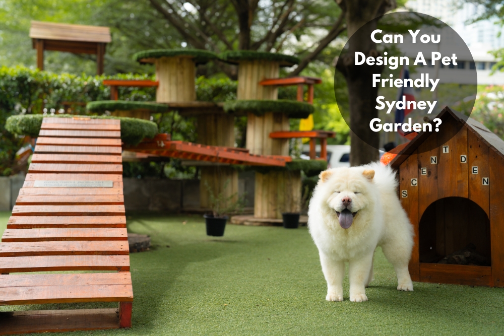 Image presents Can You Design A Pet Friendly Sydney Garden