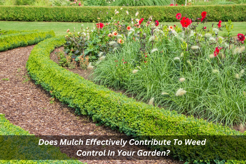 Image presents Does Mulch Effectively Contribute To Weed Control In Your Garden