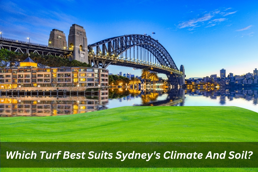 Image presents Which Turf Best Suits Sydney's Climate And Soil