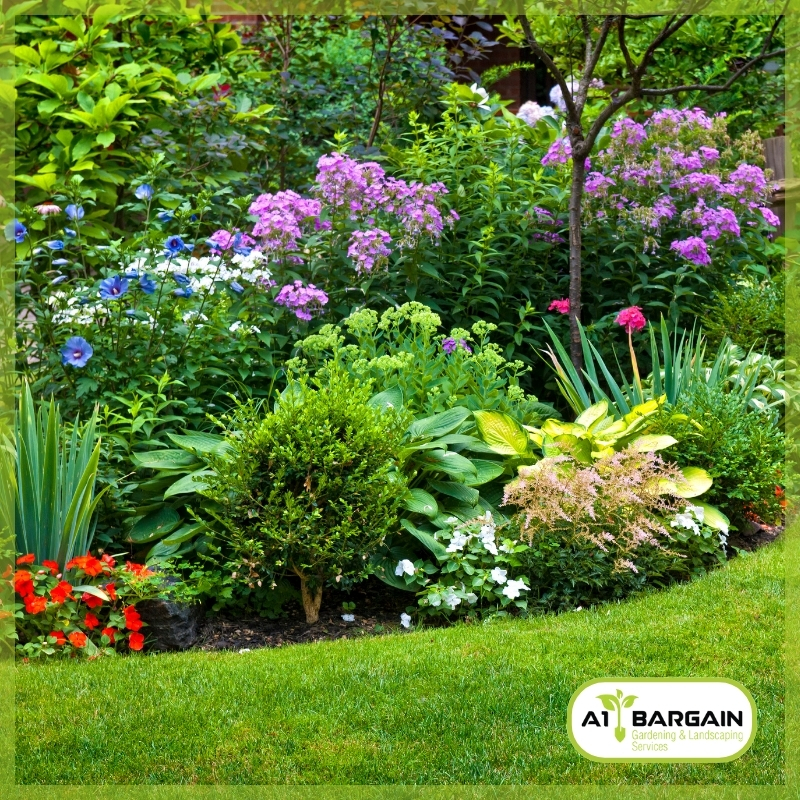 Vibrant and expertly maintained garden showcasing the exceptional work of A1 Bargain Gardening, your trusted gardener in Sydney. Transform your outdoor space with our top-rated services. Find the best gardener near you for professional landscaping and seasonal maintenance.