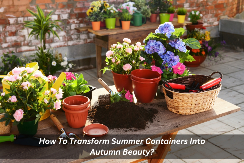 Image presents How To Transform Summer Containers Into Autumn Beauty
