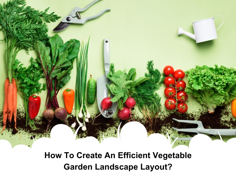 Freshly harvested vegetables, garden tools, and green leafy plants arranged on a light background showcasing a vegetable garden landscape.