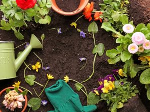 Simple landscape design tools and elements, including potted plants, green watering can, gloves, and colorful flowers on soil.