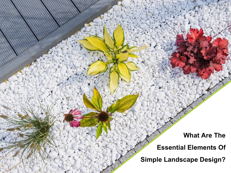 Simple landscape design with white gravel, diverse plants including yellow, red, and purple foliage, and wooden decking.