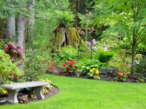 Lush greenery and flowers in a forested backyard showcasing easy garden design with a stone bench.