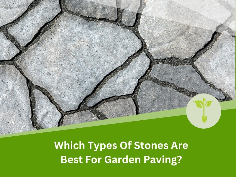 Paving with stones in a garden using large, irregularly shaped grey stones fitted together, creating a natural look.