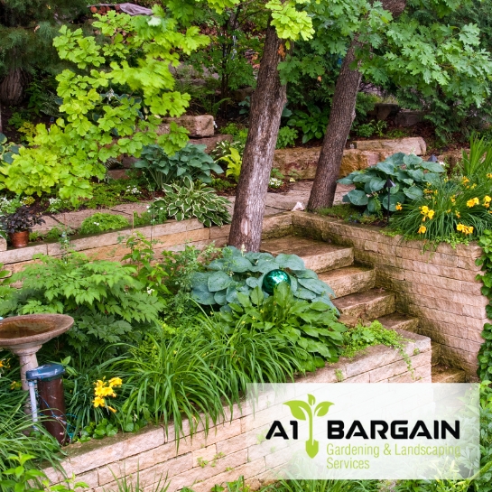 Certified Retaining Wall Installers: Beautifully landscaped garden with stone retaining walls and steps.