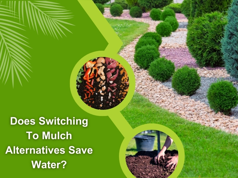 Decorative mulch alternatives in a garden bed, demonstrating water conservation benefits and eco-friendly landscaping options.