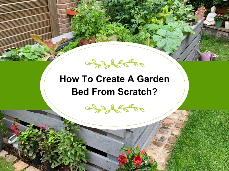 Create garden bed from scratch with lush vegetables in raised planter box, ideal for small spaces.