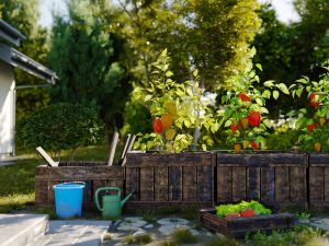 Create garden bed with wooden boxes, colourful plants, and watering tools for efficient gardening setup.