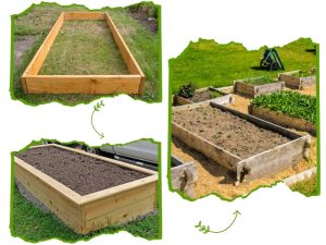 Step-by-step process to create garden bed structure, from empty frame to planting stage.