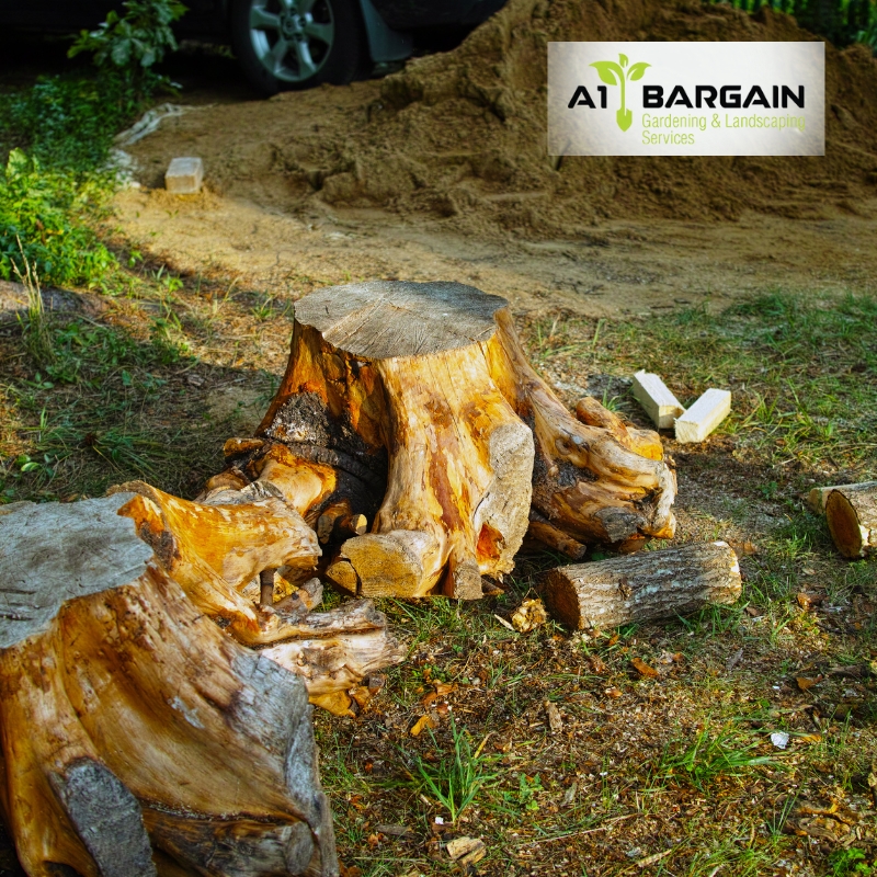 Tree stumps and wood debris from professional tree removal Campbelltown, showcasing efficient stump removal and cleanup