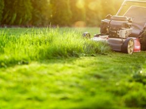 Using a mower to fix uneven lawn by levelling and smoothing the grass in the backyard.