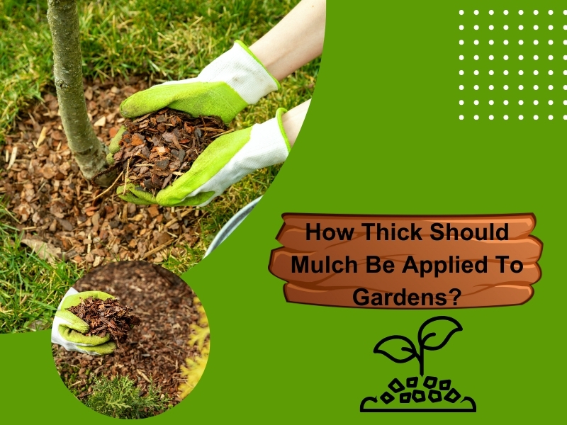 A close-up of mulch spread evenly across a garden bed, demonstrating the ideal mulch thickness for healthy plants.