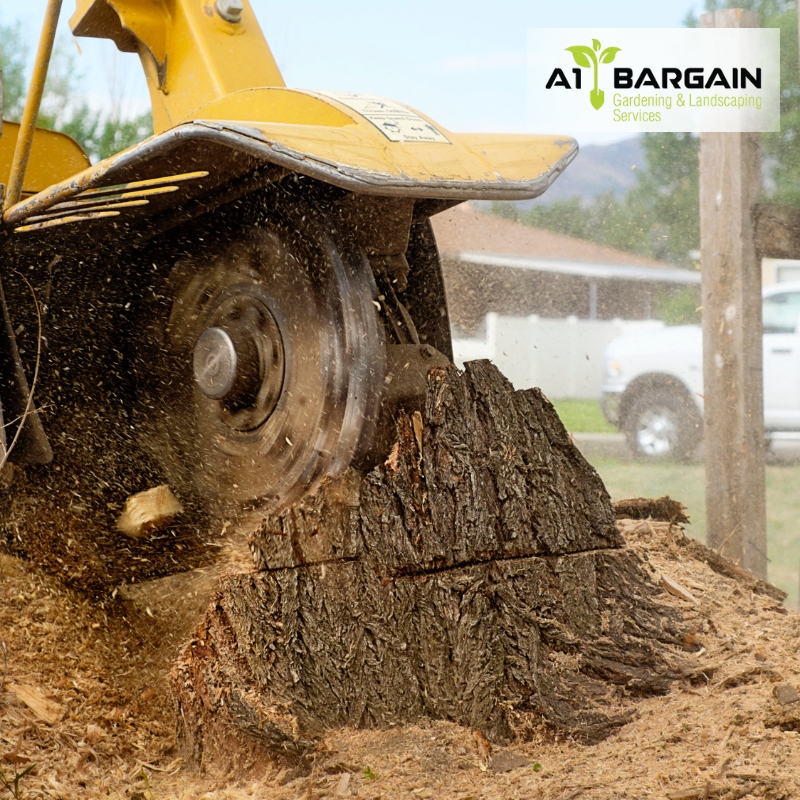 Close-up of stump grinding equipment in action during a tree removal Campbelltown project, ensuring complete stump removal.