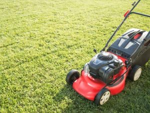 A lawn mower cutting through uneven, bumpy grass to create a smooth, level lawn.