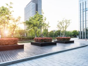 A modern urban landscape with neatly maintained hedges and trees, showcasing the contrast between overgrown hedges and professional landscaping.