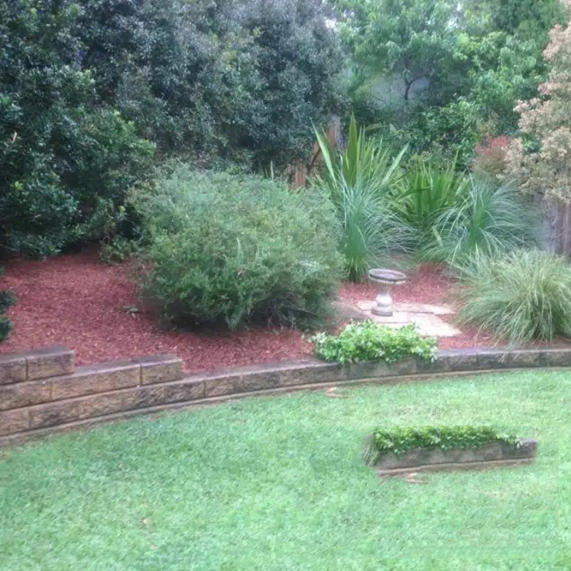 Image presents Affordable Tree Mulching Service to Preserve Your Trees