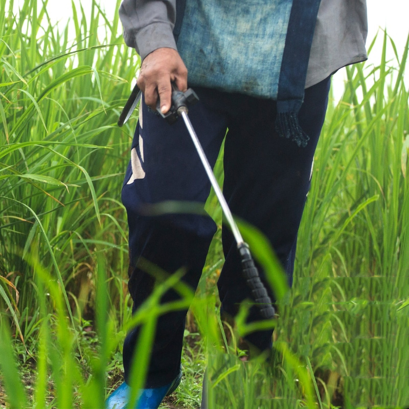 Image presents Affordable Weed Control Service - Get Rid of Weeds Today!