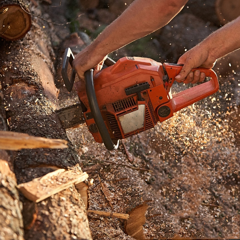 Image presents Affordable and Professional Tree Lopping Services