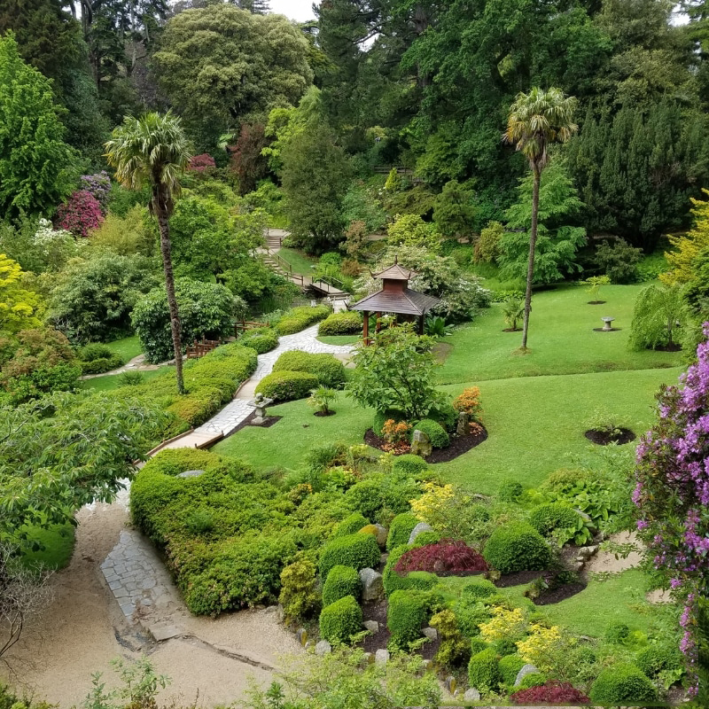 Image presents Best Oasis Landscaping Service for Your Outdoor Space