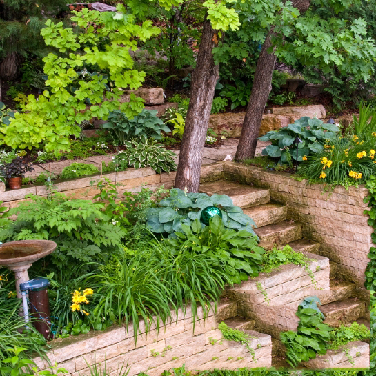 Certified Retaining Wall Installers: Beautifully landscaped garden with stone retaining walls and steps.