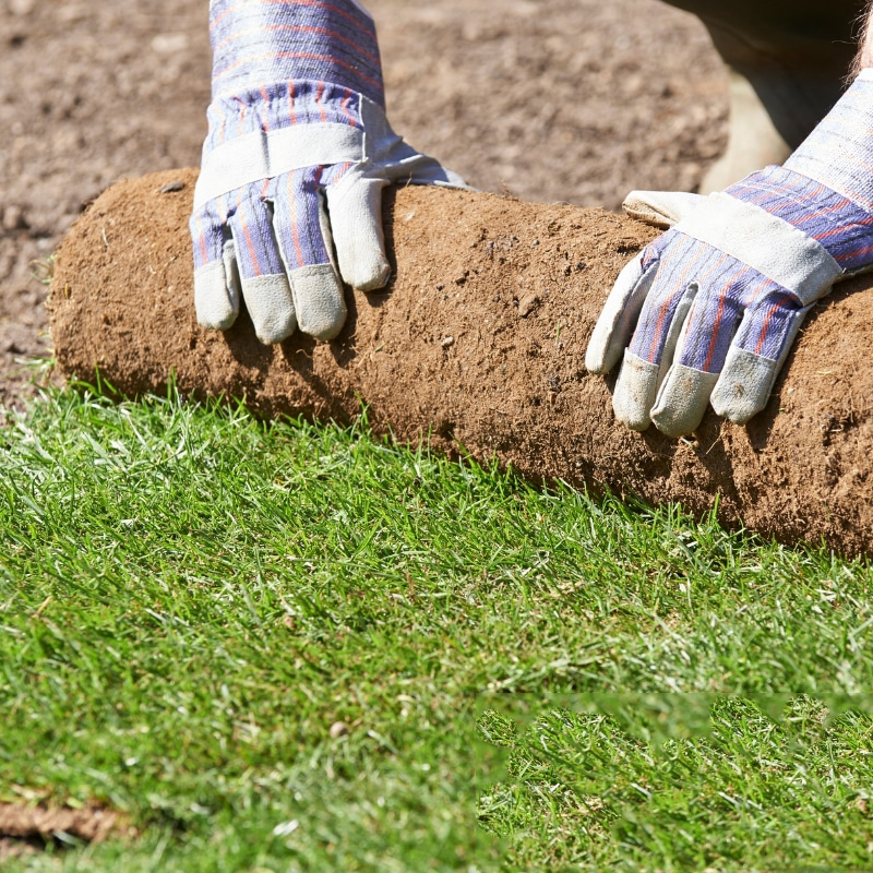Image presents Laying Turf is What We’re Good At