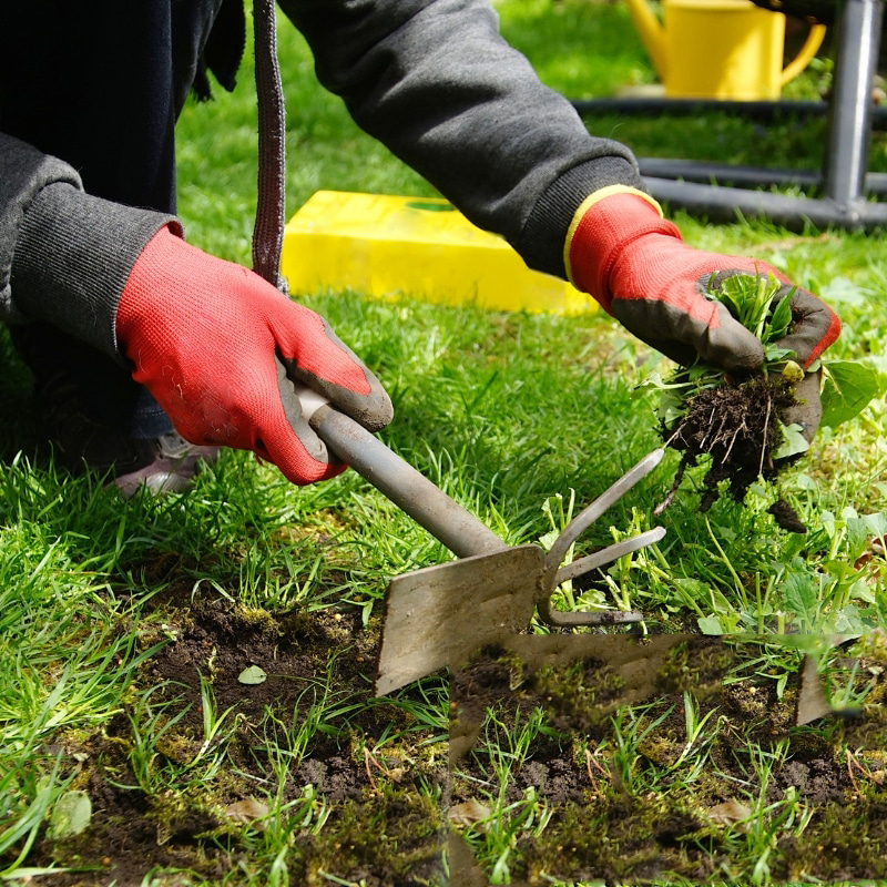 Image presents Let the Weeding Experts Do the Job