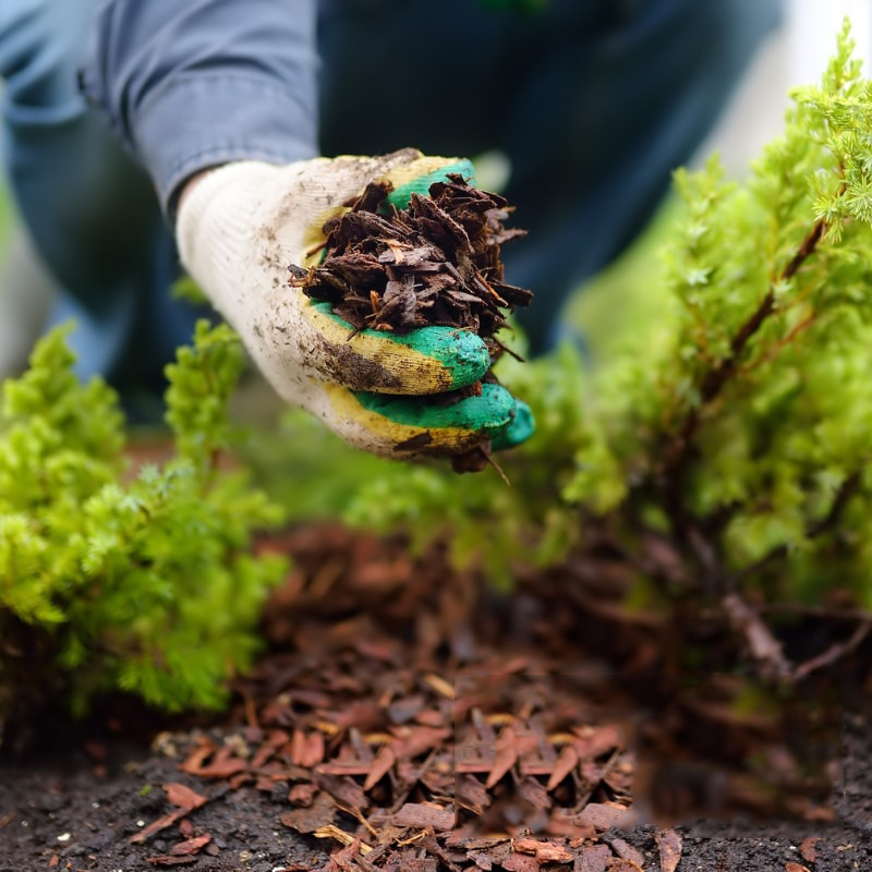 Image presents Premium Garden Mulch Near You