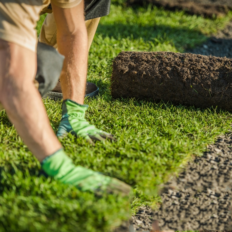Image presents Professional Turf Laying Sydney Experts