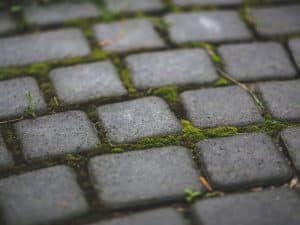 Close-up of stone paving for small gardens with moss between pavers