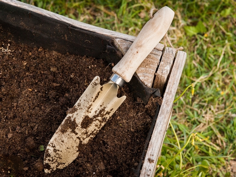 Trowel resting on rich soil with compost mulch in a wooden garden bed