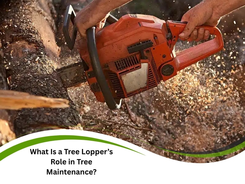 what is a tree lopper – person cutting tree trunk using chainsaw