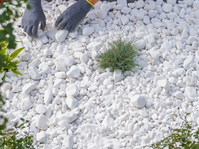 Gloved hands arranging stones in White Rock Landscaping garden bed.