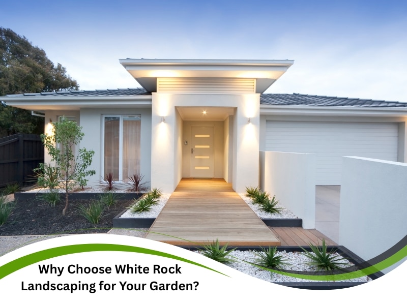 Modern home entrance enhanced with White Rock Landscaping design.