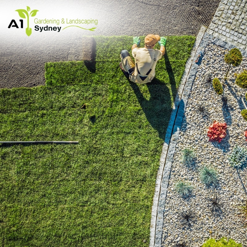 Landscaping Strathfield project featuring fresh sod installation, decorative rocks, and lush plants for a clean and polished outdoor space.