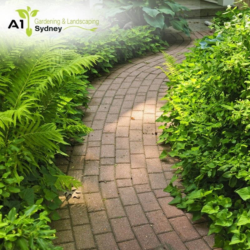 Paving Catherine Field with a winding brick pathway surrounded by lush greenery and ferns, creating a tranquil garden design.