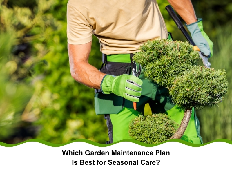 Gardener pruning shrubs as part of seasonal garden maintenance plan.