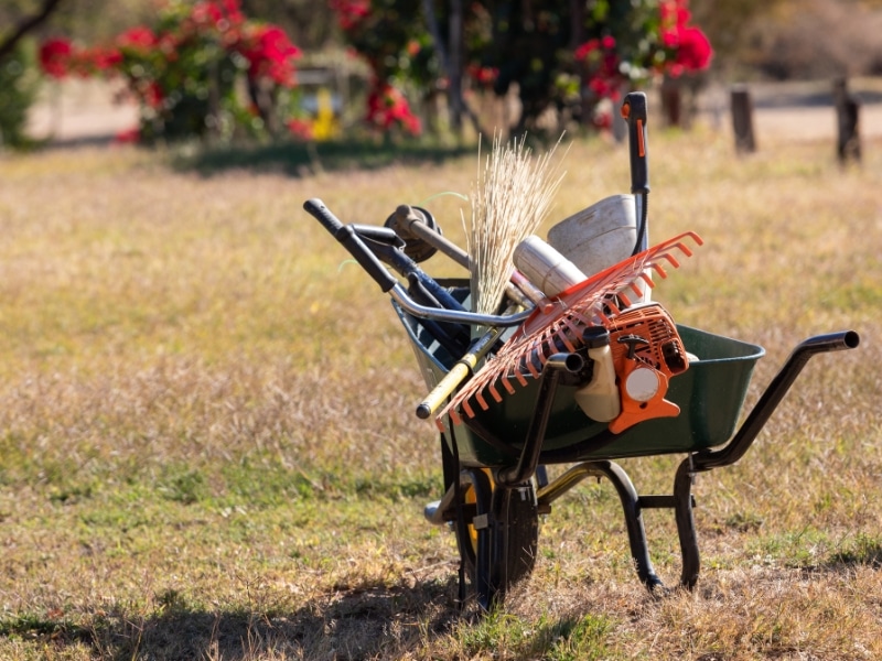 Wheelbarrow with tools ready for a garden maintenance plan.