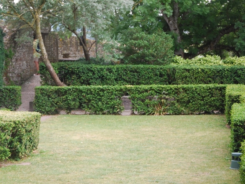 Neatly trimmed hedges and garden path showing methods for preventing weeds in garden landscapes.