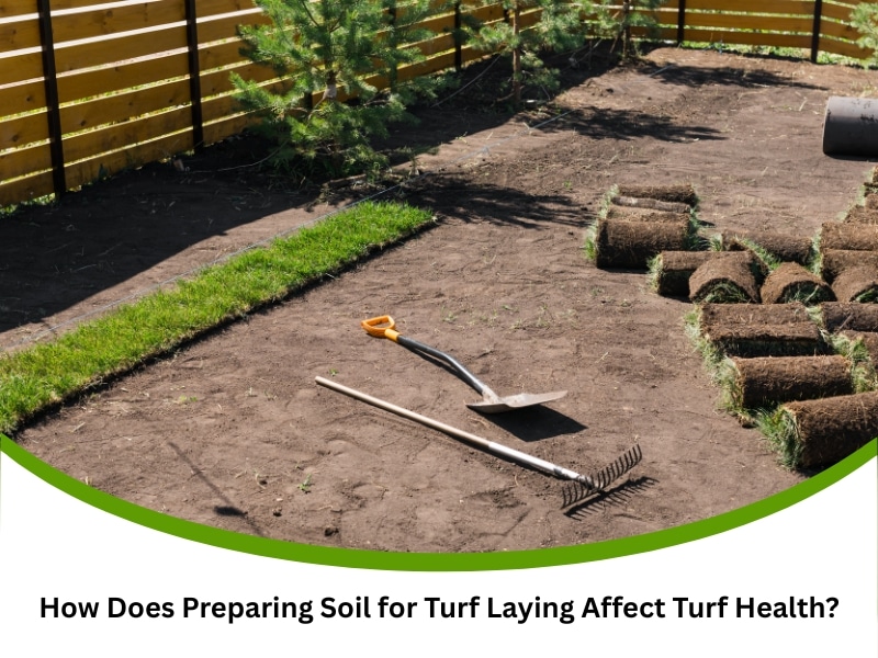 Tools and turf rolls on prepared ground while preparing soil for turf laying in a backyard.