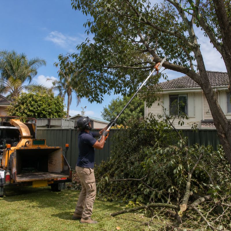 tree lopping being carried out on a Canterbury-Bankstown property, part of landscaping Canterbury-Bankstown