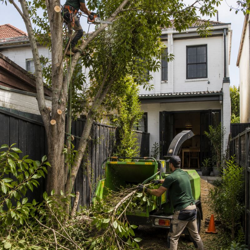 rubbish and land removal being carried out on a Inner West property, part of landscaping Inner West