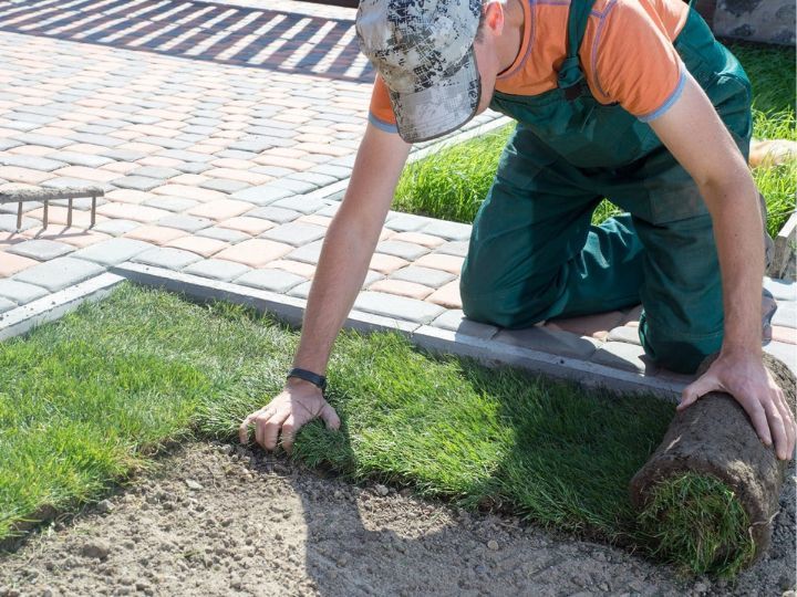 Completed A1 gardening work in Ashfield